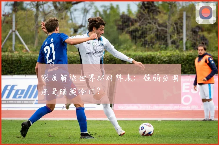 深度解读世界杯对阵表：强弱分明还是暗藏冷门？