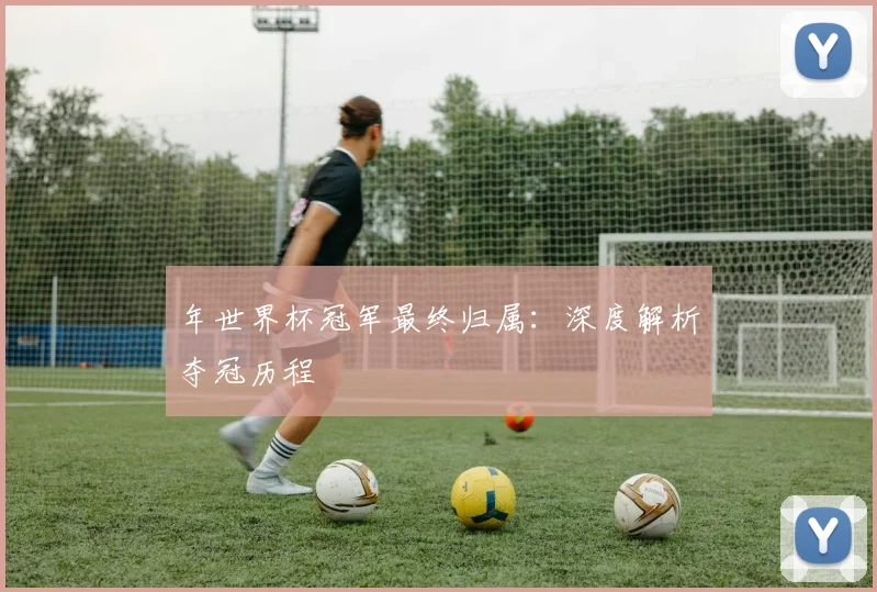 年世界杯冠军最终归属：深度解析夺冠历程