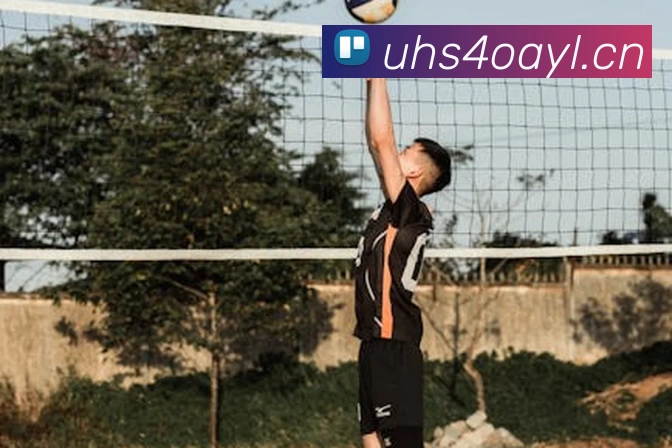 App Interface Preview